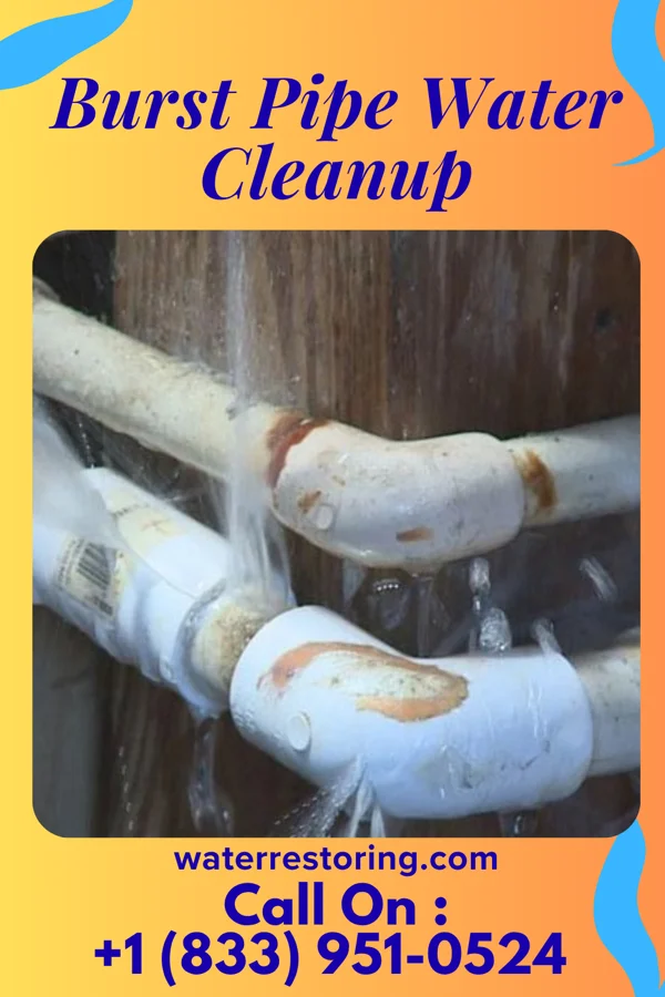 Burst Pipe Water Cleanup in Long Beach, MS