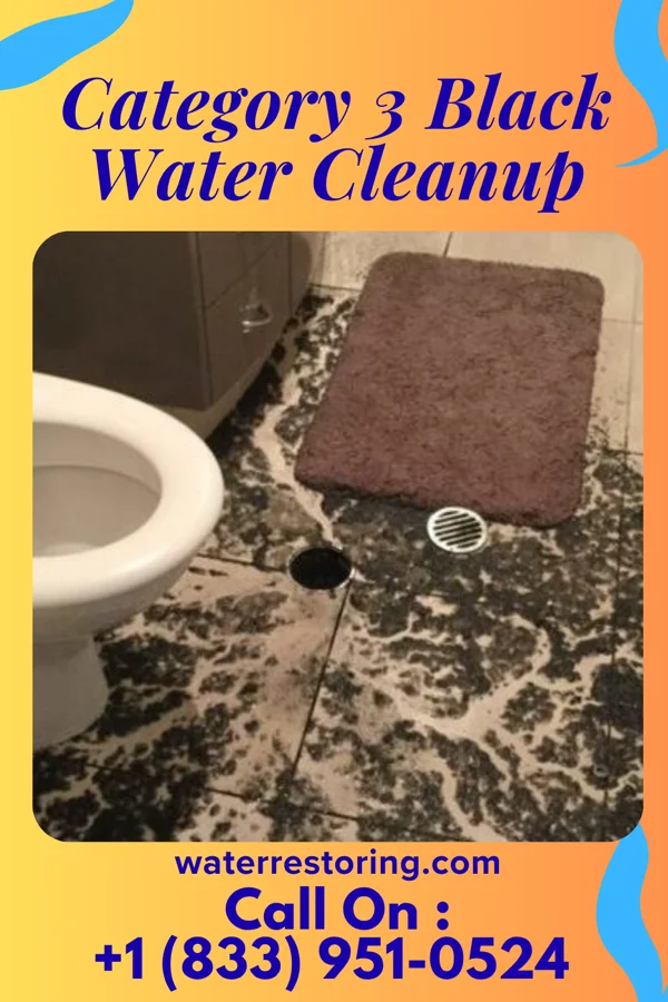 Category 3 Black Water Cleanup in Long Beach, MS
