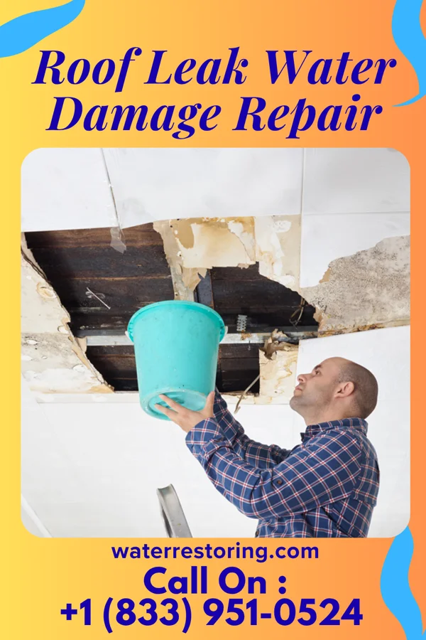 Roof Leak Water Damage Repair in Long Beach, MS