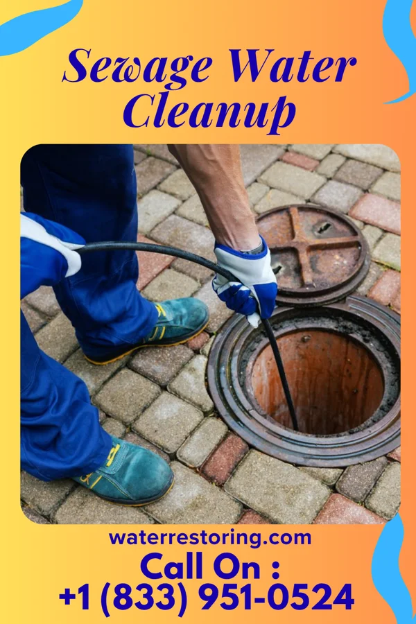 Sewage Water Cleanup in Long Beach, MS
